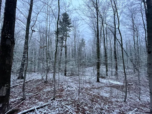 V/l 40a Voelm Rd, Wellston, MI 49689