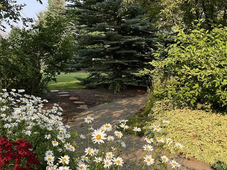 Entry path