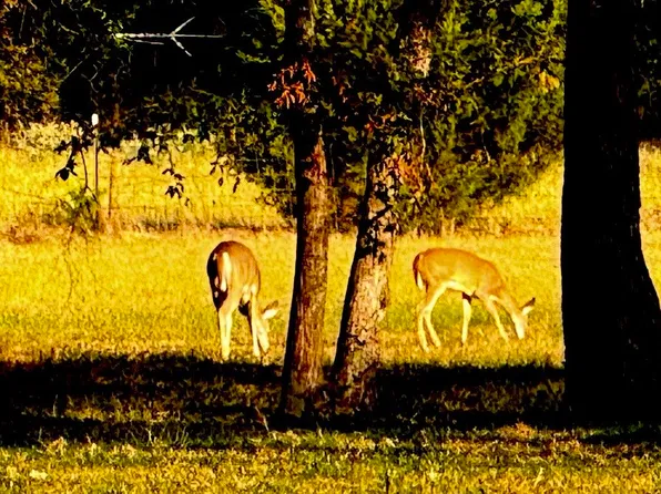 3074 Vz County Road 2120, Canton, TX 75103