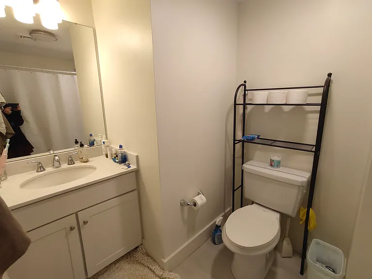 20 Penniman Rd #P3 — Photo 6