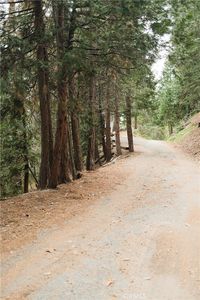 0 Pioneer Rd #66, Lake Arrowhead, CA, 92352