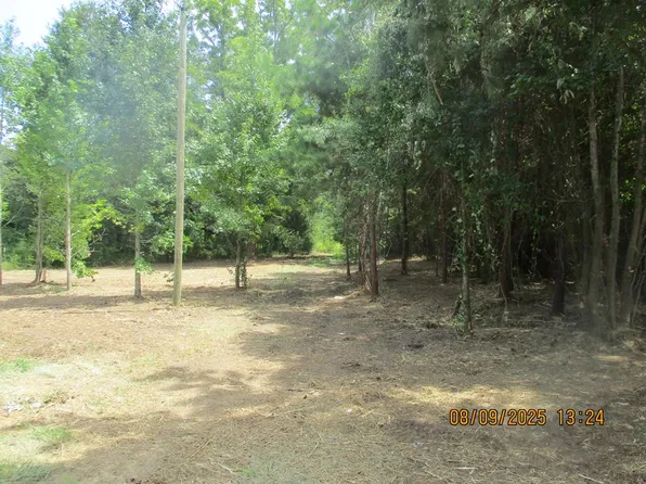 5220 E County Road 8, Pansey, AL 36370