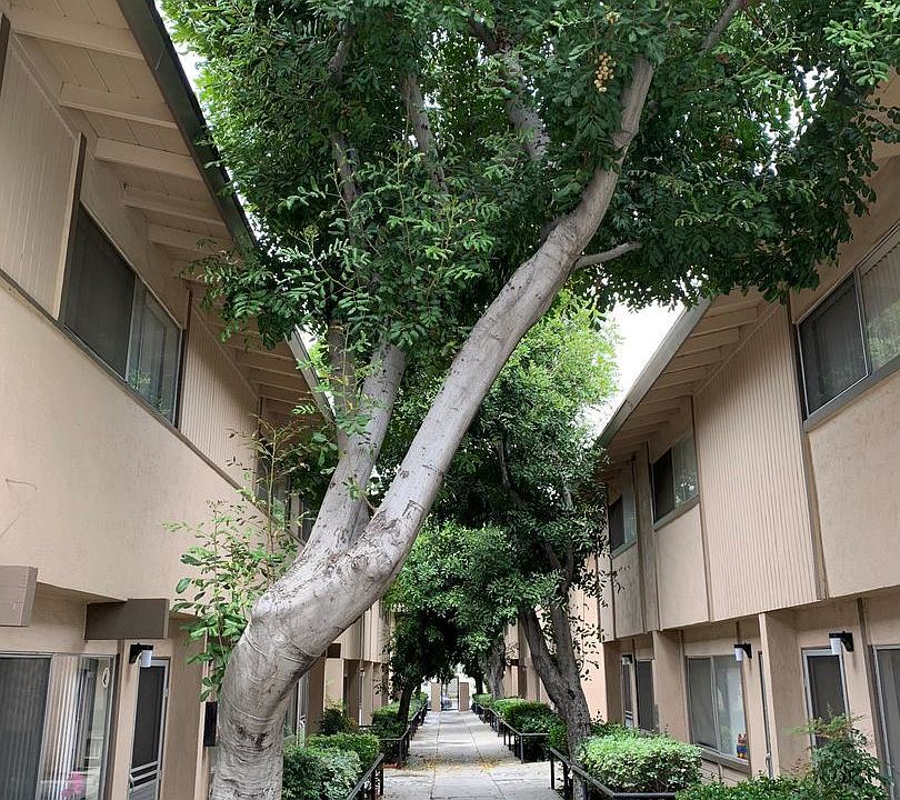 2nd image of 800 S Azusa Ave APT 1K