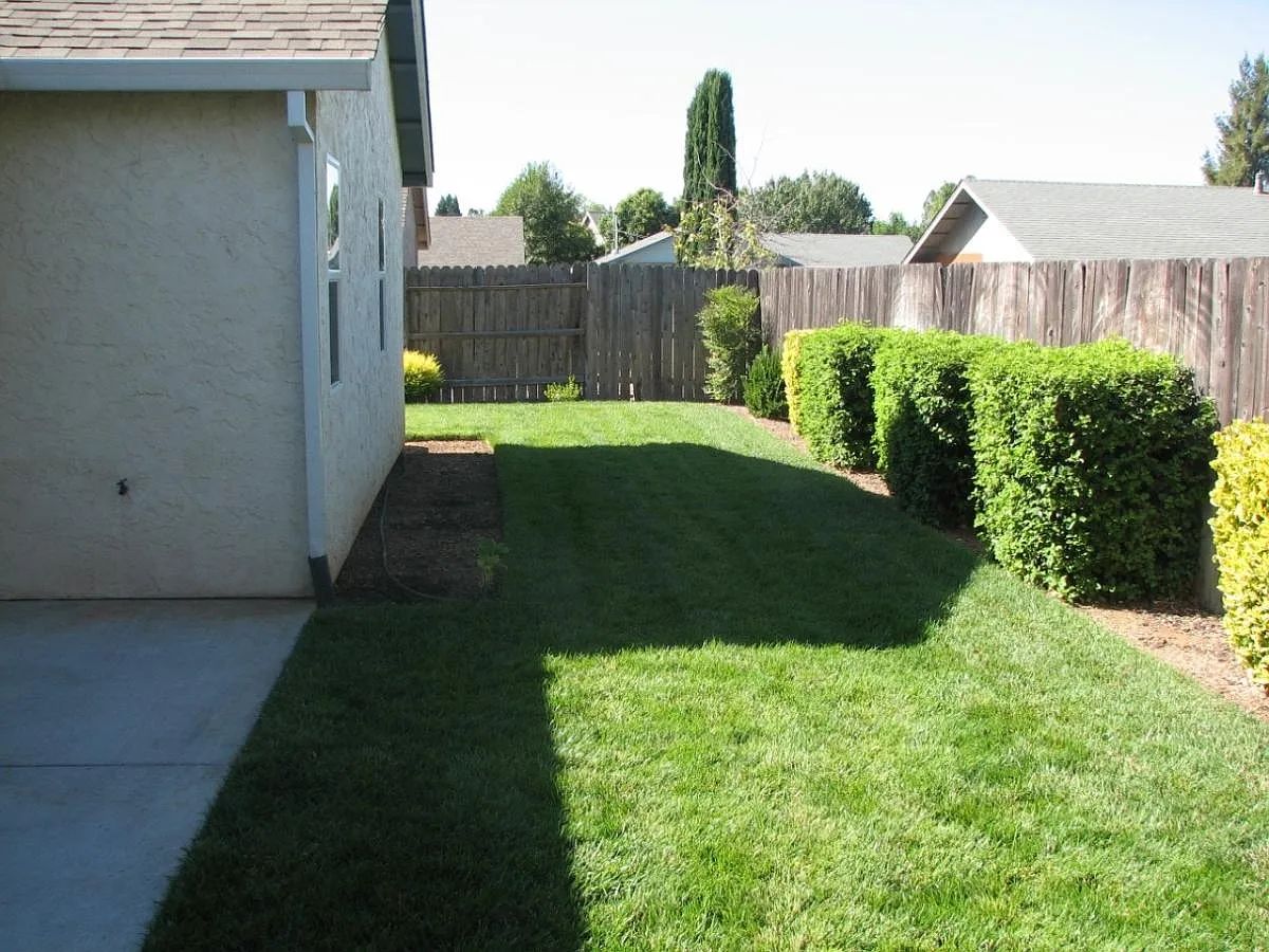 3 bed, 1233 sqft, $1,950 — Photo 3