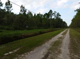 10555 Delgado Ave, Hastings, FL 32145