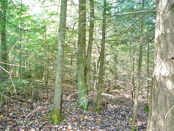 4th image of Middle Sugarbush Ln