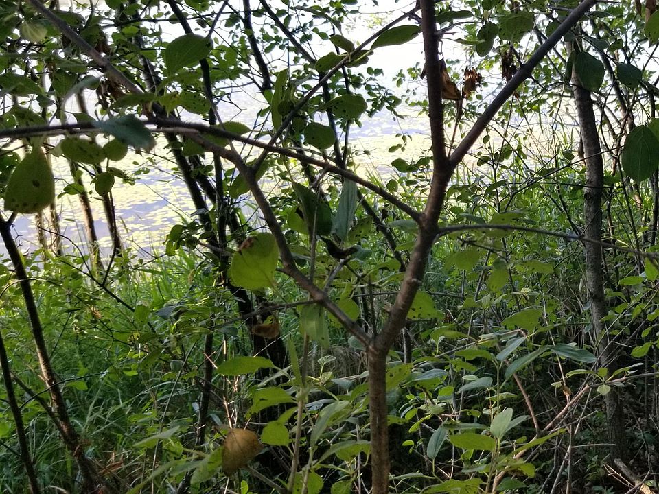 LOT 4 15th Ave, Star Prairie, WI 54026 MLS 6249187 Zillow