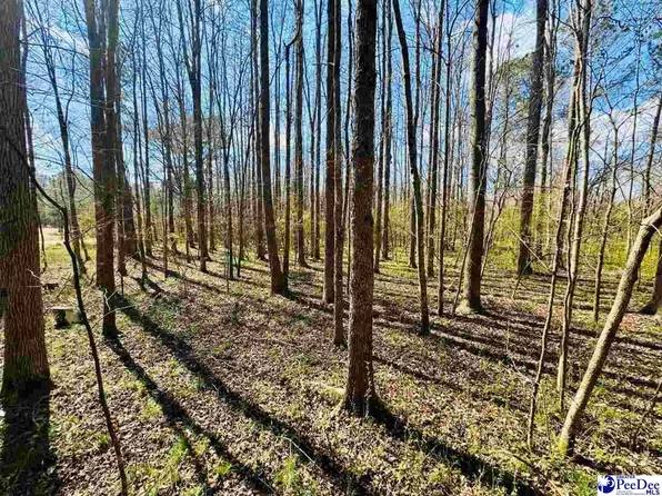 Sherrill Rd, Wallace, SC 29596