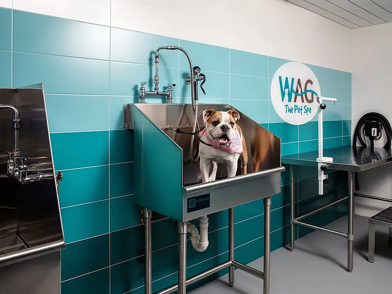 Pet-friendly community with WAG Pet spa (Representative photo)