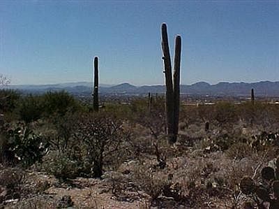 1st image of 7433 N Camino Sin Vacas