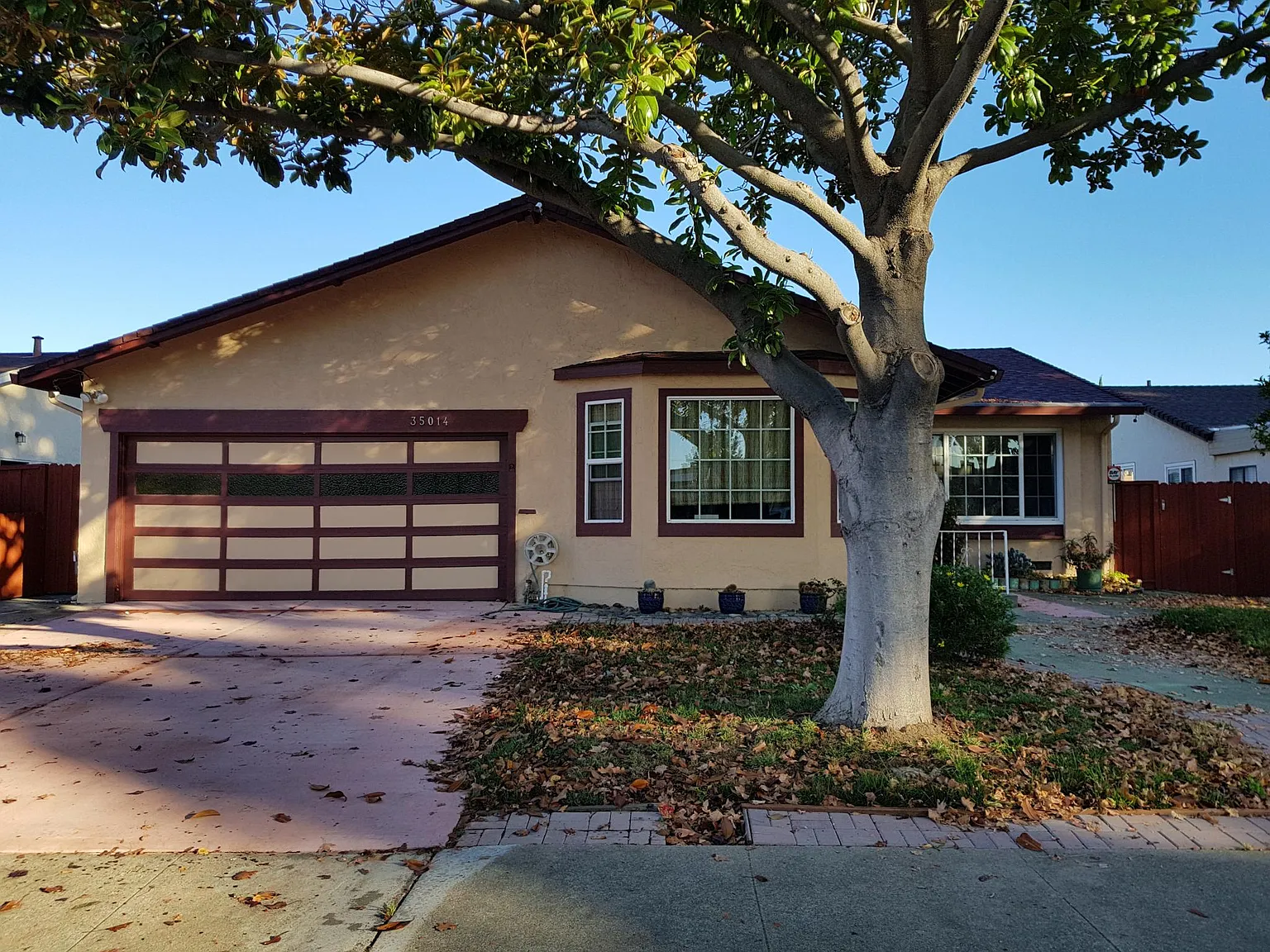 35014 Begonia St photo 1