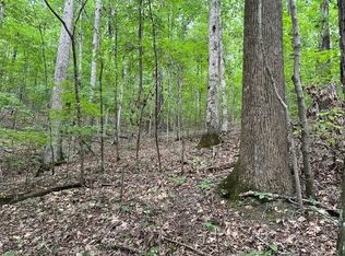 LOT 1 Highway 156 LOT 1, South Pittsburg, TN 37380