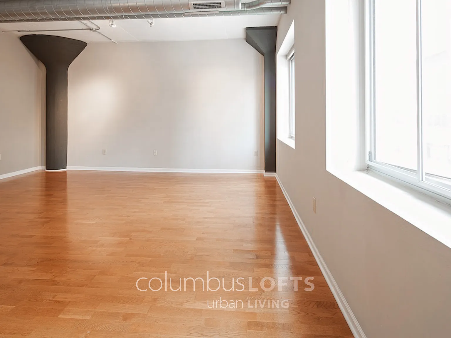 1 bed, 1000 sqft, $1,500 — Photo 3