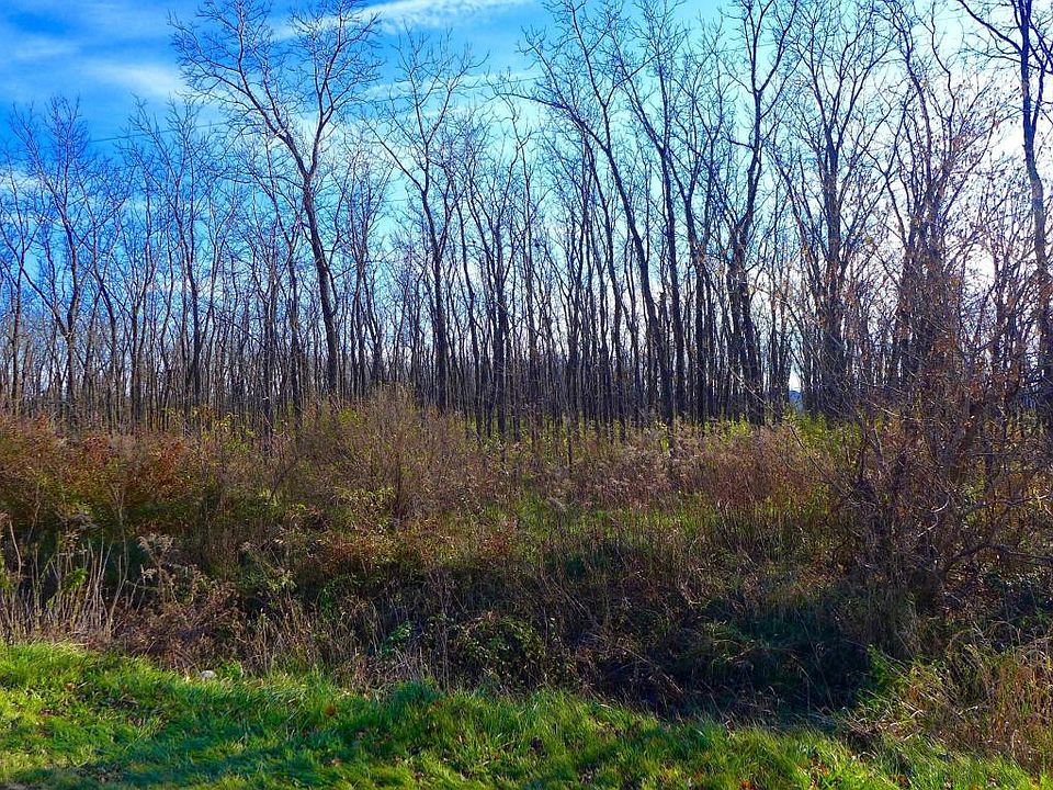 2nd image of 2960 Linco Rd