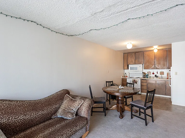 Viking Apartments — Photo 11