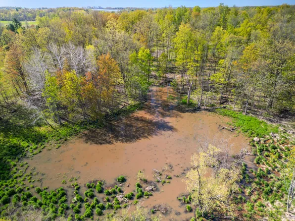 2119 W 116th St, Grant, MI 49327