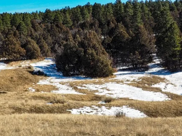 32 Ravin Off, Chama, NM 87520