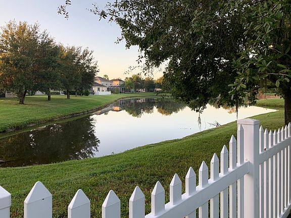 Backyard Pond View 