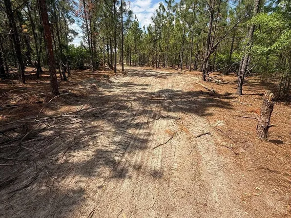 350 Payne Pond Rd Lot 11, Westville, SC 29175