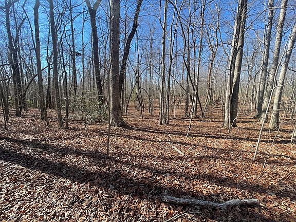 5th image of 261 Haven Ln