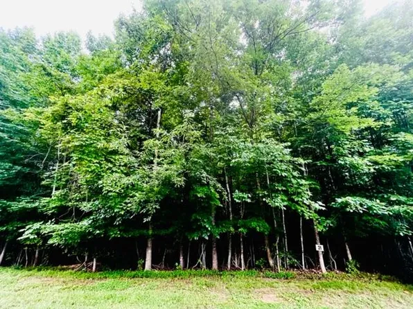 LOT 31 Back 9 Dr, Moneta, VA 24121