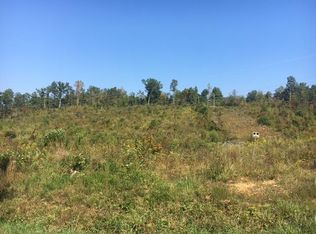 Coon Hollow Rd, Sunbright, TN 37872