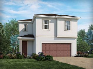 34120 White Fountain Ct, Wesley Chapel, FL 33545