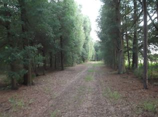 3042 N 20th St, Bell, FL 32619