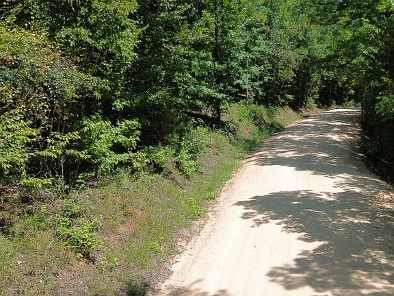 3rd image of 595 Ridgeview Lake Rd