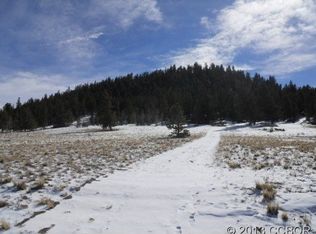 1108 Lariat Loop, Hartsel, CO 80449