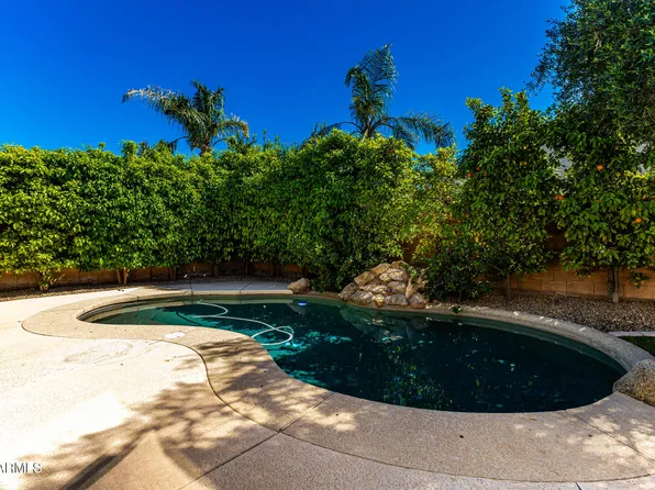 417 W DESERT BROOM Drive, Chandler, AZ 85248