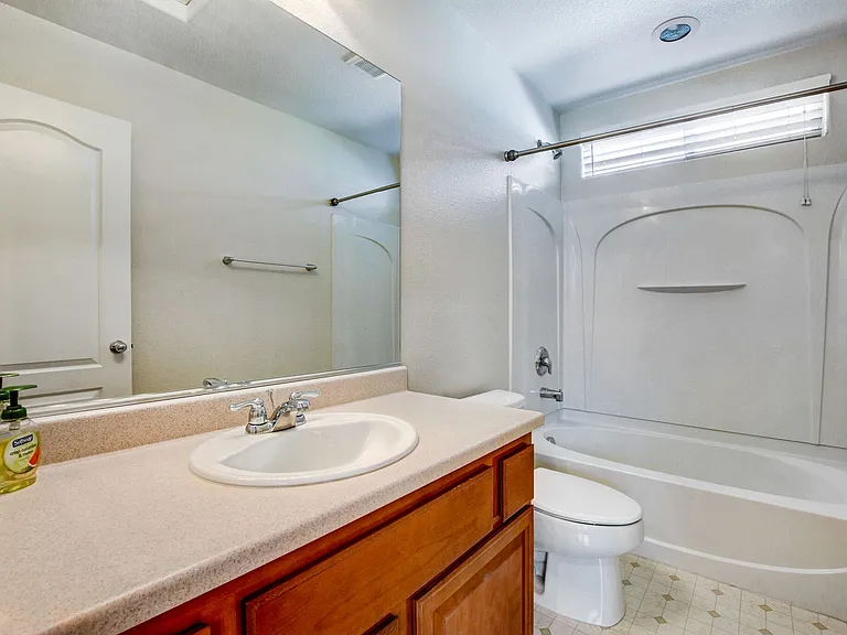 8285 Begonia Blush Dr — Photo 12