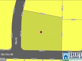 4516 Pine Tree Cir, Birmingham, AL 35243