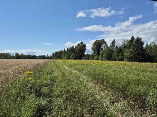 Halverson Rd, Gulliver, MI 49840