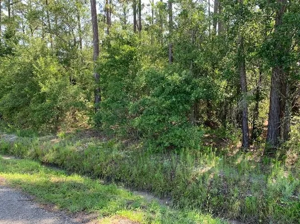 10040 Isaacson Ave, Hastings, FL 32145
