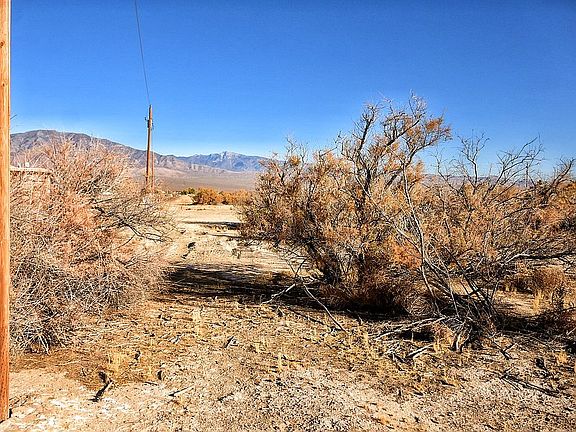 3rd image of 880 Pearwood Ln