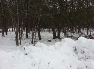 Old Lake Rd, Grayling, MI 49738