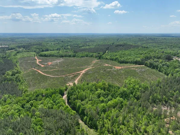 0 County Road 695, Roanoke, AL 36274