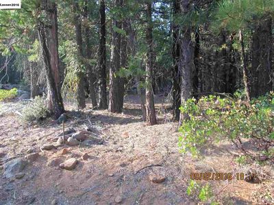 035-342-06 & 07 NE Shingle Springs Dr, Alturas, CA, 96101