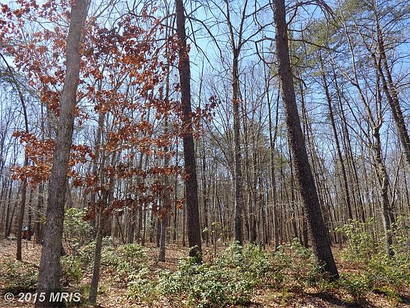 Backing to Conservation, Quiet