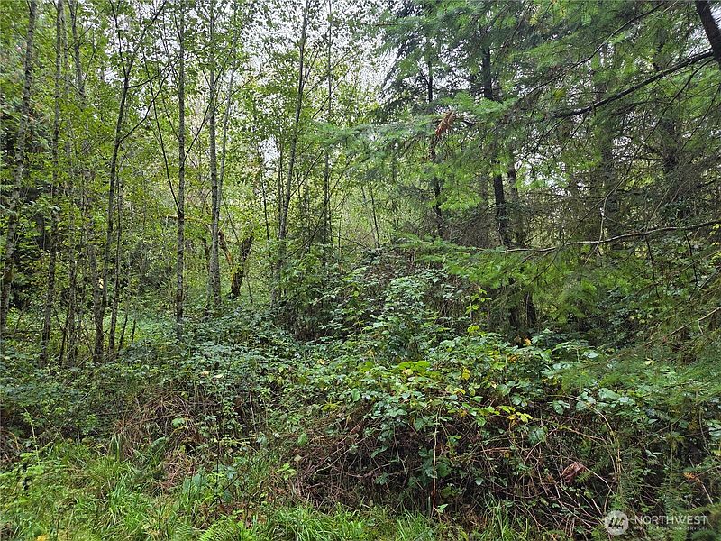 3rd image of 8721 Salty Drive NW