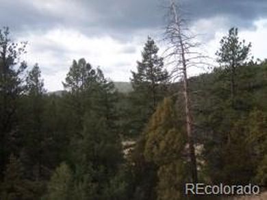 287 Pinyon Trail, Estes Park, CO, 80517
