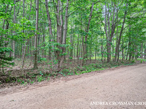 0 Myrtle St, Fennville, MI 49408