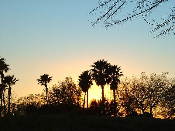 Back Patio Sunset View