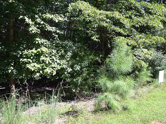 4th image of 469 Carolina Club Dr