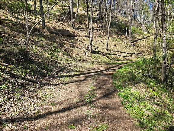 3rd image of TBD Round Knob Ridge Road