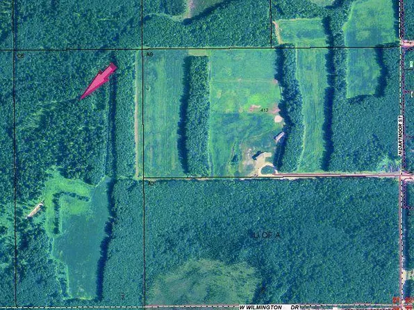 541 W Wilmington Dr, Wasilla, AK 99654
