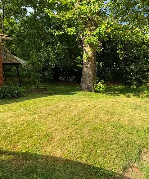 1003 S Trenton Ave — Photo 3