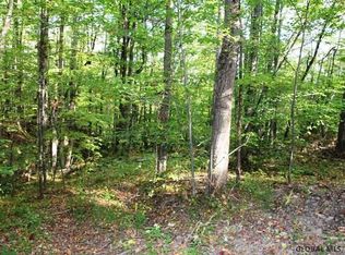 Gott Rd, Summit, NY 12175