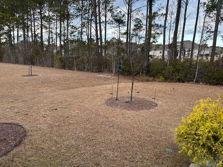 106A Arnette Dr #A — Photo 16